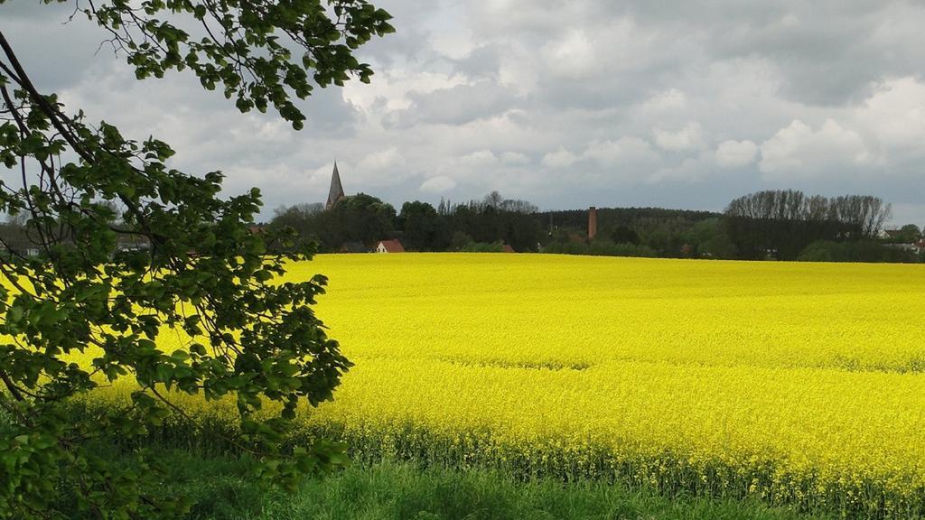 Fewo Ruegen Boettger Poseritz Exterior foto